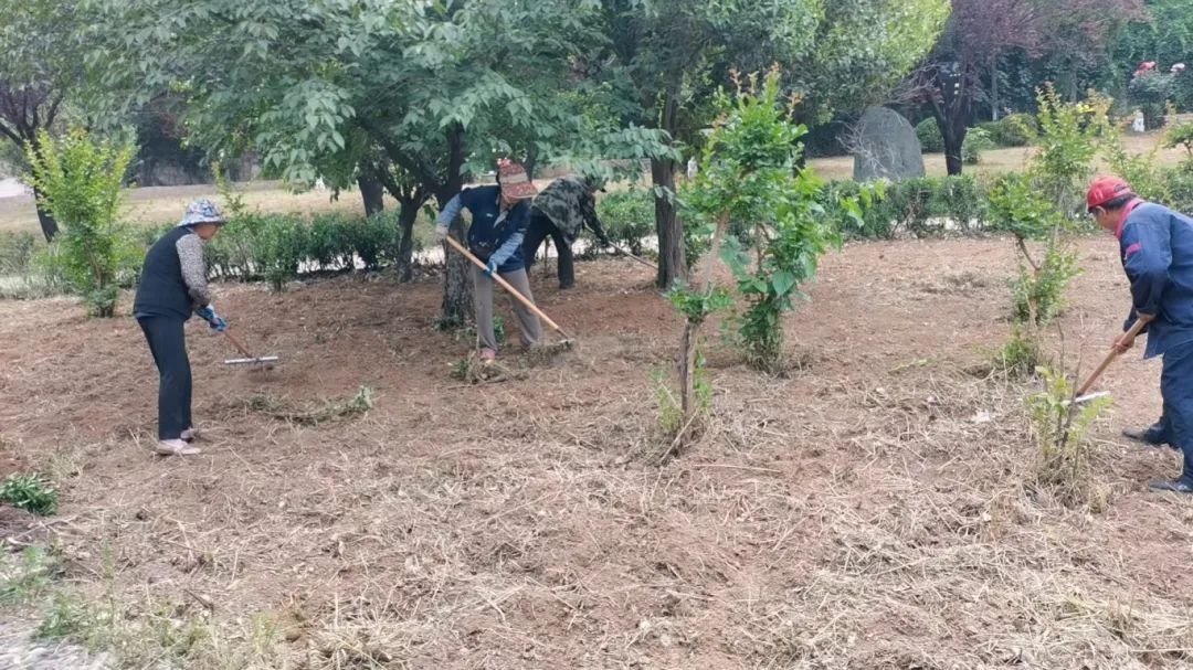 【国产偷拍自拍资讯
】开展陵园环境整治 营造绿色祭扫环境