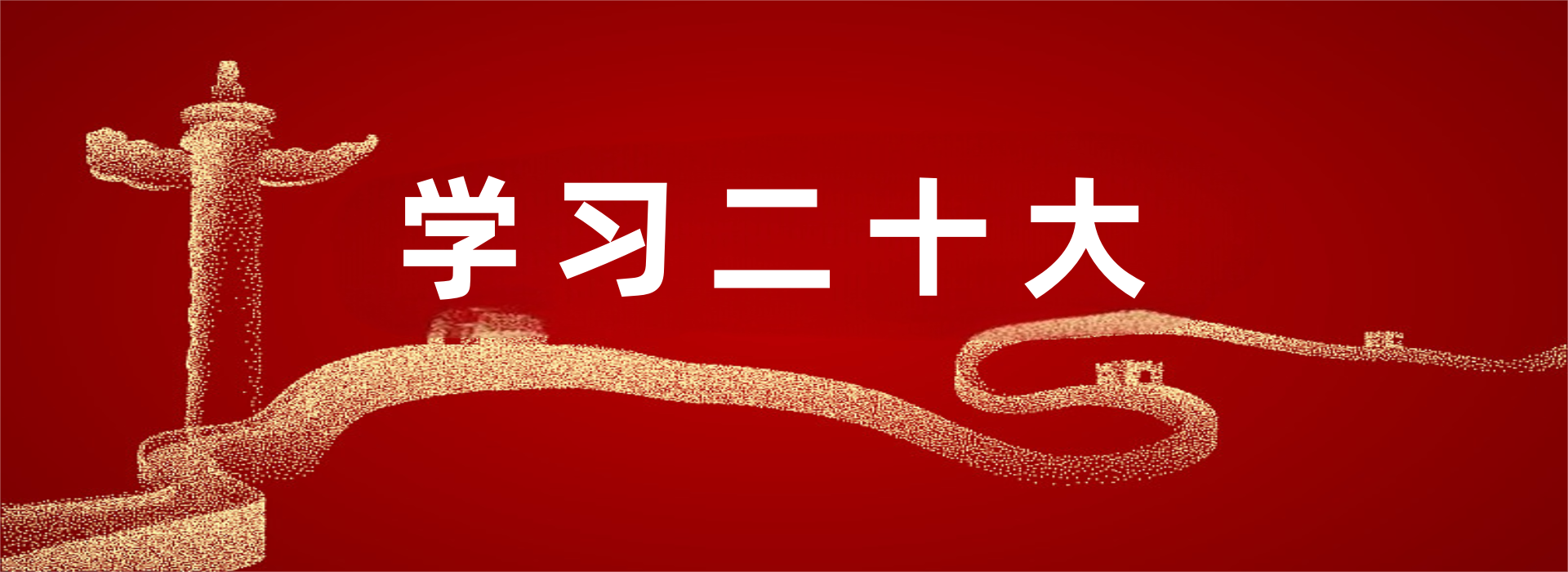 学习二十大